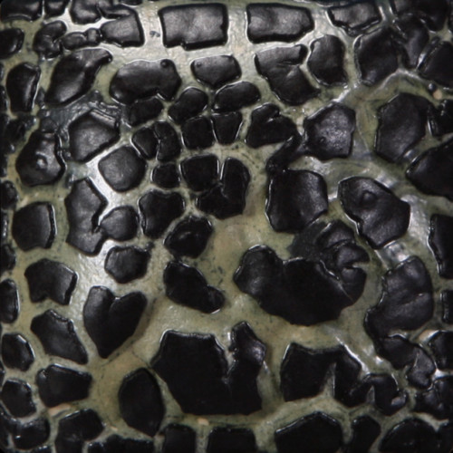 
  EMAIL GRES TEXTURE MAYCO STONEWARE - BLACK MUDCRACK - 473 ml - Emaux liquides grès MAYCO STONEWARE CLASSIC 1200°C - 1280°C - Cigale et Fourmi