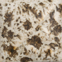 EMAIL GRES MAYCO STONEWARE CRYSTALS - WINTER WOOD - 473 ml
