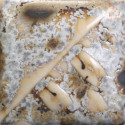 
  EMAIL GRES MAYCO STONEWARE CRYSTALS - WINTER WOOD - 473 ml - Emaux liquides grès MAYCO STONEWARE CRYSTALS 1200°C-1280°C - Cigale et Fourmi