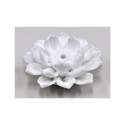 
  PORCELAINE IMPERIALE EXTRA BLANCHE - LOTUS -  5 Kg - Porcelaines blanches - Cigale et Fourmi