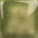 
  EMAIL BRILLANT MAYCO STROKE & COAT - SLIME TIME - 236 ml - Série Mayco STROKE & COAT® - Cigale et Fourmi