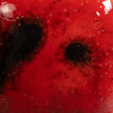 
  EMAIL FAIENCE MAYCO JUNGLE GEMS - LADYBUG - 118 ml - Emaux liquides faïence MAYCO JUNGLE GEMS™ CRYSTAL GLAZE 1000°C - 1040°C - Cigale et Fourmi