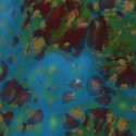
  EMAIL FAIENCE MAYCO JUNGLE GEMS - MONET’S POND - 118 ml - Emaux liquides faïence MAYCO JUNGLE GEMS™ CRYSTAL GLAZE 1000°C - 1040°C - Cigale et Fourmi