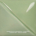 
  ENGOBE MAYCO FUNDAMENTALS - EUCALYPTUS - 473 ml - Engobe liquide MAYCO FUNDAMENTALS® UNDERGLAZES 1000°C - 1280°C - Cigale et Fourmi