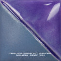 
  ENGOBE MAYCO FUNDAMENTALS - CONCORD GRAPE - 473 ml - Engobe liquide MAYCO FUNDAMENTALS® UNDERGLAZES 1000°C - 1280°C - Cigale et Fourmi
