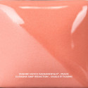 
  ENGOBE MAYCO FUNDAMENTALS - PEACH - 473 ml - Engobe liquide MAYCO FUNDAMENTALS® UNDERGLAZES 1000°C - 1280°C - Cigale et Fourmi