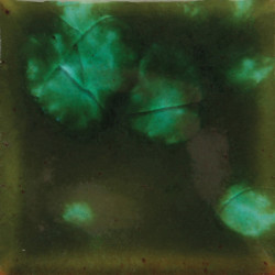 EMAIL FAIENCE MAYCO JUNGLE GEMS - WOODLAND FANTASY - 473 ml