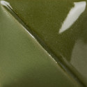 
  ENGOBE MAYCO FUNDAMENTALS - LEAF GREEN - 473 ml - Engobe liquide MAYCO FUNDAMENTALS® UNDERGLAZES 1000°C - 1280°C - Cigale et Fourmi