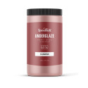 
  ENGOBE PREPARE ROUGE CARMIN SPEEDBALL 1050°-1280°C - 473 ml - Engobes liquides SPEEDBALL 1050° - 1280°C - Cigale et Fourmi