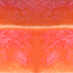 EMAIL PREPARE MID-FIRE SPEEDBALL - ROSE CORAIL - 473 ml