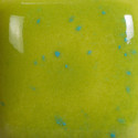 
  EMAIL BRILLANT MAYCO STROKE & COAT SPECKLED - SOUR APPLE - 236 ml - 236 ml - Série Mayco SPECKLED STROKE & COAT® - Cigale et Fourmi