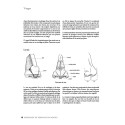 
  MODELAGE DE PORTRAITS EN ARGILE- ANATOMIE ET EXPRESSION - Livres Sculpture - Cigale et Fourmi