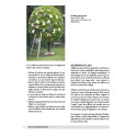
  PHOTOGRAPHIEZ VOS CREATIONS - Livres Sculpture - Cigale et Fourmi