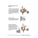 
  PHOTOGRAPHIEZ VOS CREATIONS - Livres Sculpture - Cigale et Fourmi