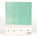 
  EMAIL GRES BRILLANT MAYCO STONEWARE GLOSS - AQUA GLOSS - 473 ml - Emaux liquides grès opaques brillants MAYCO - STONEWARE GLOSS 1200°C-1280°C - Cigale et Fourmi