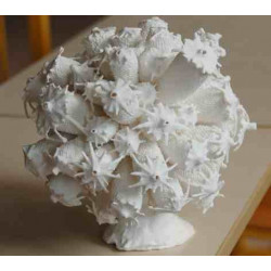 PORCELAINE MONT BLANC 011 - EXTRA BLANCHE & TRANSLUCIDE -10kg
