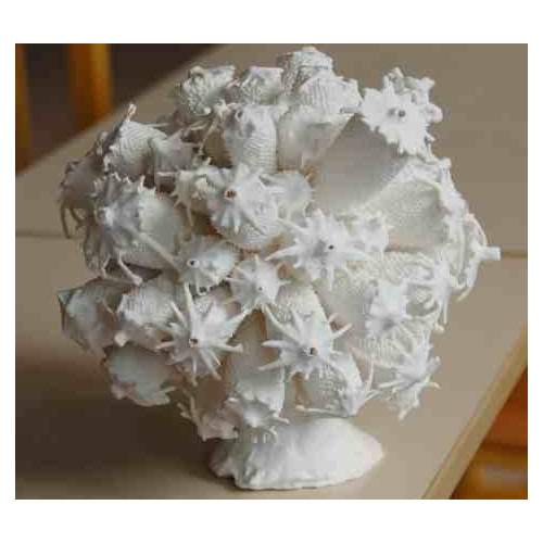 
  PORCELAINE MONT BLANC 011 - EXTRA BLANCHE & TRANSLUCIDE -10kg - Porcelaines blanches - Cigale et Fourmi