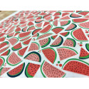 
  PAPIER TRANSFERT - PASTEQUE - Papiers transfert - Cigale et Fourmi