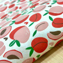 
  PAPIER TRANSFERT - PECHES ET CREME - Papiers transfert - Cigale et Fourmi
