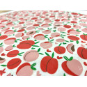 
  PAPIER TRANSFERT - PECHES ET CREME - Papiers transfert - Cigale et Fourmi