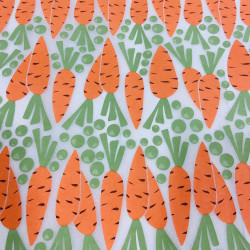 PAPIER TRANSFERT - POIS ET CAROTTES