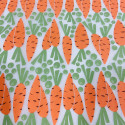 
  PAPIER TRANSFERT - POIS ET CAROTTES - Papiers transfert - Cigale et Fourmi