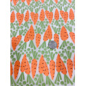 
  PAPIER TRANSFERT - POIS ET CAROTTES - Papiers transfert - Cigale et Fourmi
