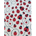 
  PAPIER TRANSFERT - COCCINELLES - Papiers transfert - Cigale et Fourmi