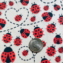 
  PAPIER TRANSFERT - COCCINELLES - Papiers transfert - Cigale et Fourmi