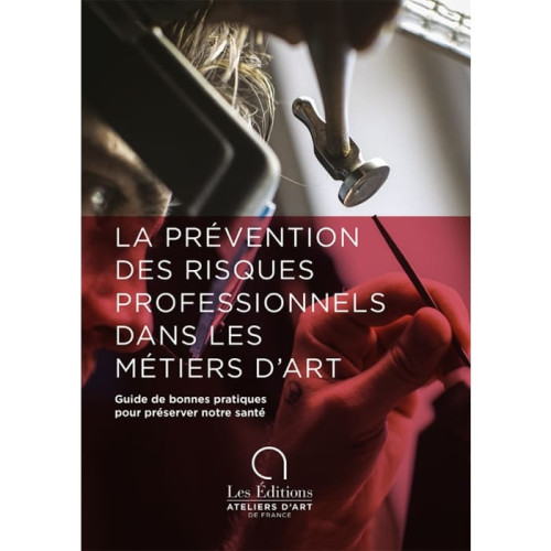 
  LA PREVENTION DES RISQUES PROFESSIONNELS DANS LES METIERS D'ART - Livres sur l'émail céramique - Cigale et Fourmi