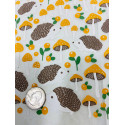 
  PAPIER TRANSFERT - HERISSONS ET CHAMPIGNONS - Papiers transfert - Cigale et Fourmi