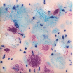 EMAIL FAIENCE MAYCO JUNGLE GEMS - PINK PIXIE - 118 ml