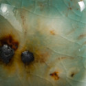 
  EMAIL FAIENCE MAYCO JUNGLE GEMS - LOTUS BLOSSOM - 118 ml - Emaux liquides faïence MAYCO JUNGLE GEMS™ CRYSTAL GLAZE 1000°C - 1040°C - Cigale et Fourmi