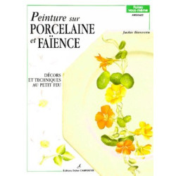 PEINTURE SUR PORCELAINE ET FAIENCE-vol 1