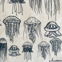
  PAPIER TRANSFERT - MEDUSE - Papiers transfert - Cigale et Fourmi
