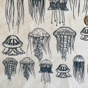 
  PAPIER TRANSFERT - MEDUSE - Papiers transfert - Cigale et Fourmi