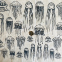 
  PAPIER TRANSFERT - MEDUSE - Papiers transfert - Cigale et Fourmi
