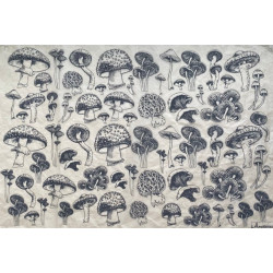 PAPIER TRANSFERT - CHAMPIGNONS