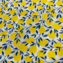 
  PAPIER TRANSFERT - CITRONS - Papiers transfert - Cigale et Fourmi