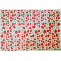 
  PAPIER TRANSFERT - FRAISES - Papiers transfert - Cigale et Fourmi