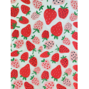 
  PAPIER TRANSFERT - FRAISES - Papiers transfert - Cigale et Fourmi