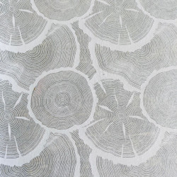 PAPIER TRANSFERT - VEINES DE BOIS - BLANC