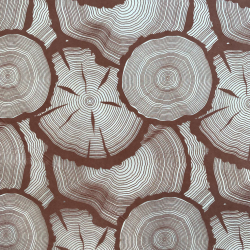PAPIER TRANSFERT - VEINES DE BOIS - MARRON