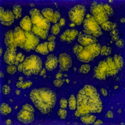 EMAIL FAIENCE MAYCO JUNGLE GEMS - STARRY NIGHT - 118 ml