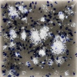 EMAIL FAIENCE MAYCO JUNGLE GEMS - COSMIC BLACK - 473 ml