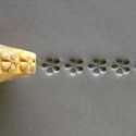 
  ROULEAU A DOIGTS 8 MM - DAISY - Tampons & rouleaux - Cigale et Fourmi