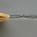 
  ROULEAU A DOIGTS 8 MM - LINES AND DOTS - Tampons & rouleaux - Cigale et Fourmi