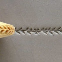 
  ROULEAU A DOIGTS 8 MM - VINE WITH LEAVES AND FLOWERS - Tampons & rouleaux - Cigale et Fourmi