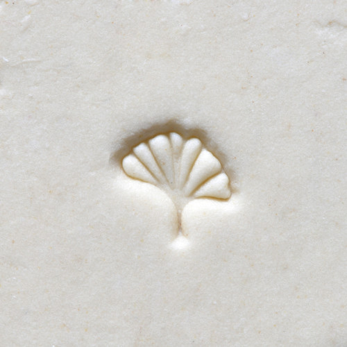 
  TAMPON ROND 1 CM - GINKGO LEAF - Tampons & rouleaux - Cigale et Fourmi