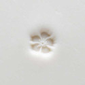 
  TAMPON ROND 1 CM - HIBISCUS FLOWER - Tampons & rouleaux - Cigale et Fourmi